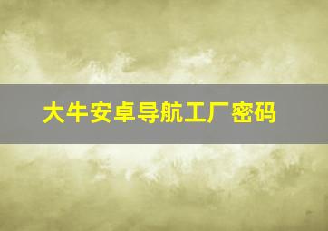 大牛安卓导航工厂密码