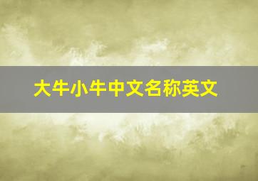 大牛小牛中文名称英文