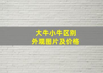 大牛小牛区别外观图片及价格