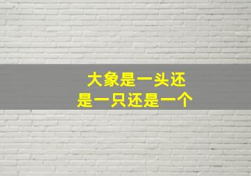 大象是一头还是一只还是一个