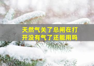 天然气关了总闸在打开没有气了还能用吗