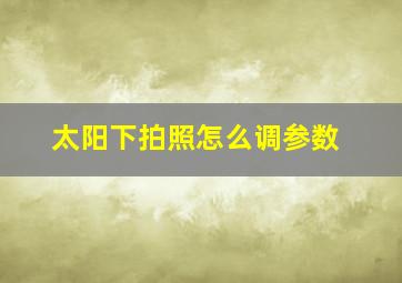 太阳下拍照怎么调参数