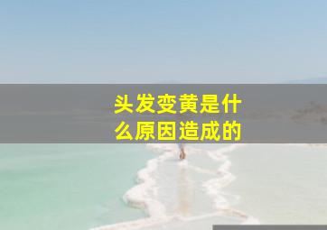 头发变黄是什么原因造成的