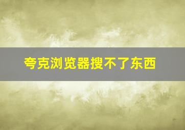 夸克浏览器搜不了东西