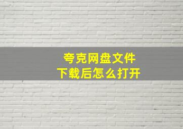 夸克网盘文件下载后怎么打开