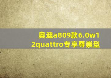 奥迪a809款6.0w12quattro专享尊崇型