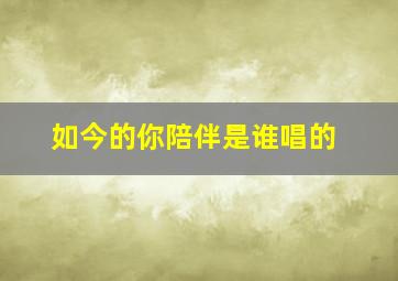 如今的你陪伴是谁唱的