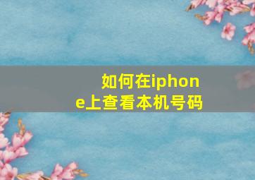 如何在iphone上查看本机号码