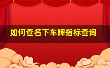 如何查名下车牌指标查询