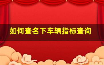 如何查名下车辆指标查询