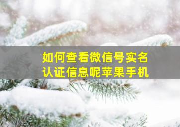 如何查看微信号实名认证信息呢苹果手机