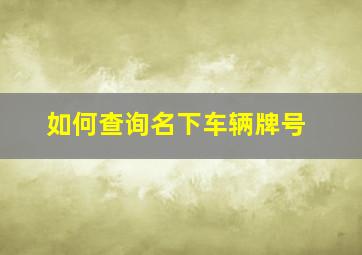 如何查询名下车辆牌号