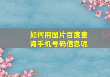 如何用图片百度查询手机号码信息呢