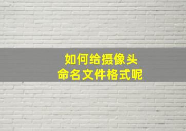 如何给摄像头命名文件格式呢