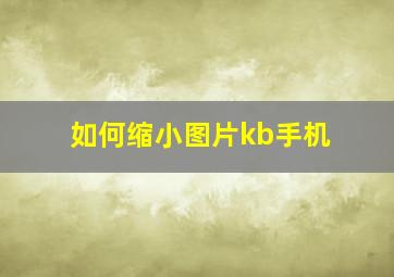 如何缩小图片kb手机