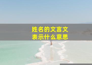 姓名的文言文表示什么意思