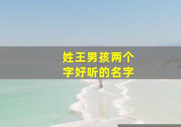 姓王男孩两个字好听的名字