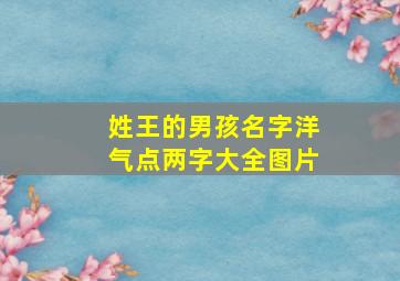 姓王的男孩名字洋气点两字大全图片