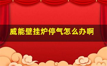 威能壁挂炉停气怎么办啊