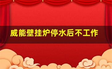 威能壁挂炉停水后不工作