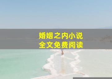 婚姻之内小说全文免费阅读