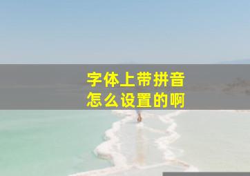 字体上带拼音怎么设置的啊