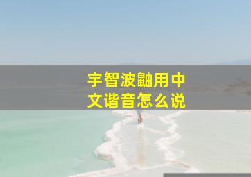 宇智波鼬用中文谐音怎么说