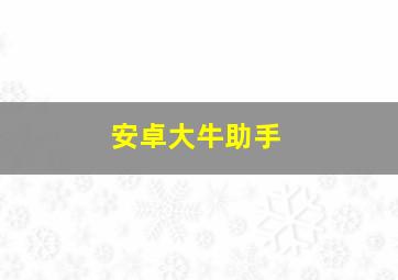 安卓大牛助手