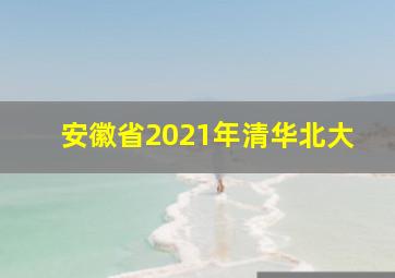 安徽省2021年清华北大