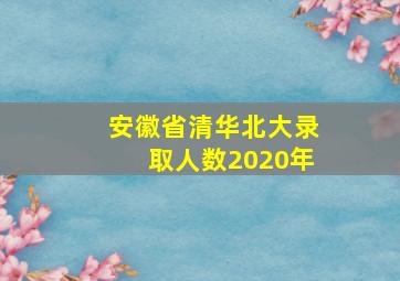 安徽省清华北大录取人数2020年