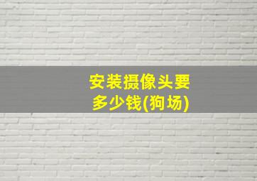 安装摄像头要多少钱(狗场)