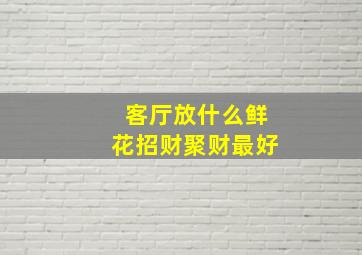 客厅放什么鲜花招财聚财最好