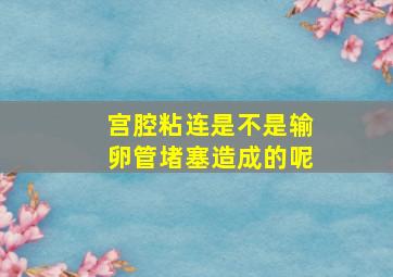 宫腔粘连是不是输卵管堵塞造成的呢