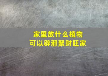 家里放什么植物可以辟邪聚财旺家