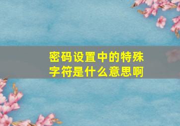 密码设置中的特殊字符是什么意思啊