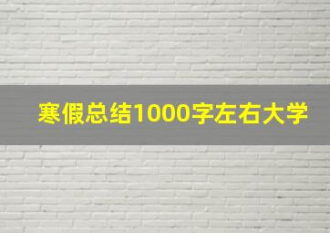 寒假总结1000字左右大学