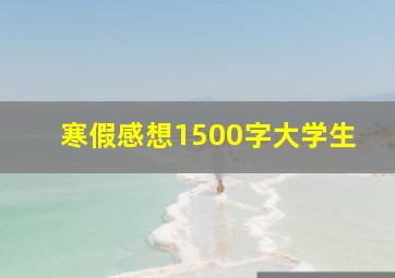 寒假感想1500字大学生