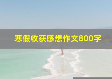 寒假收获感想作文800字