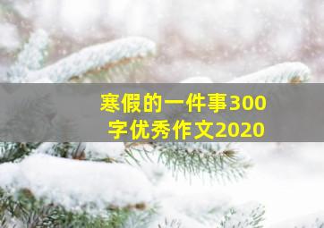 寒假的一件事300字优秀作文2020