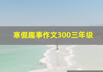 寒假趣事作文300三年级