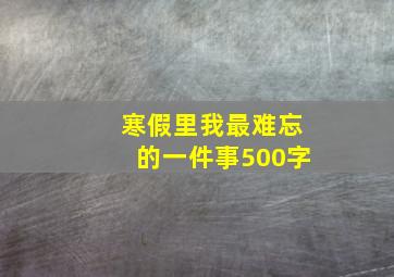 寒假里我最难忘的一件事500字