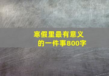 寒假里最有意义的一件事800字