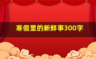 寒假里的新鲜事300字