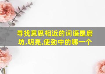 寻找意思相近的词语是磨坊,明亮,使劲中的哪一个