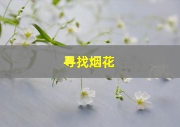 寻找烟花