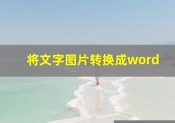 将文字图片转换成word