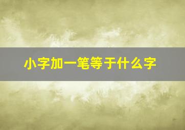 小字加一笔等于什么字