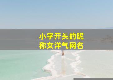 小字开头的昵称女洋气网名