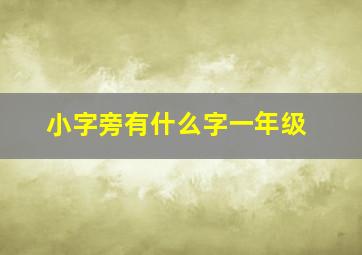 小字旁有什么字一年级