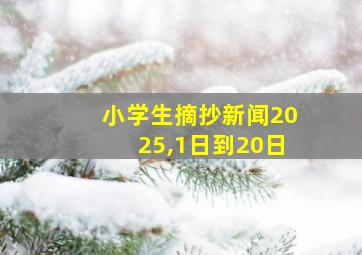 小学生摘抄新闻2025,1日到20日